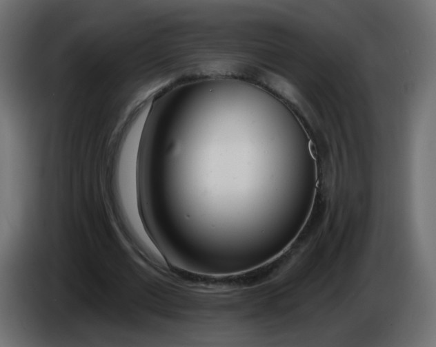 X0000086070677200704132041
