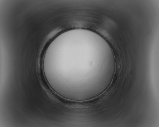 X0000086070678200704132041