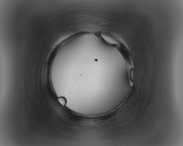 X0000086070679200704132041