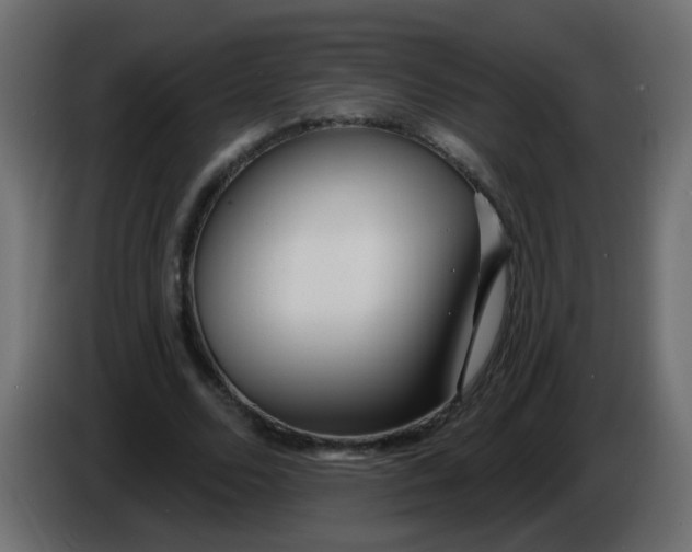 X0000086070680200704132041