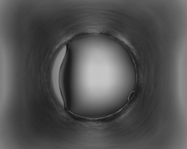 X0000086070681200704132041
