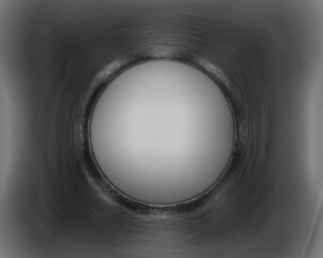 X0000086070682200704132041