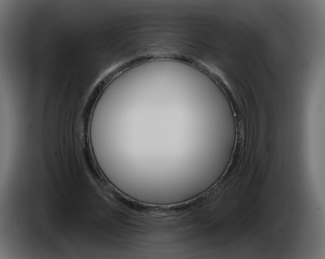 X0000086070684200704132041