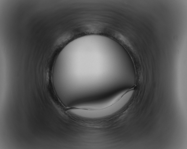 X0000086070685200704132041