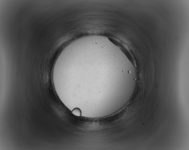 X0000086070687200704132041