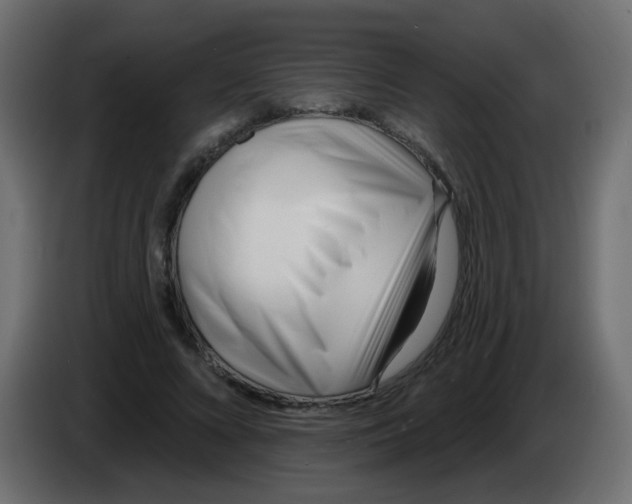 X0000086070688200704132041