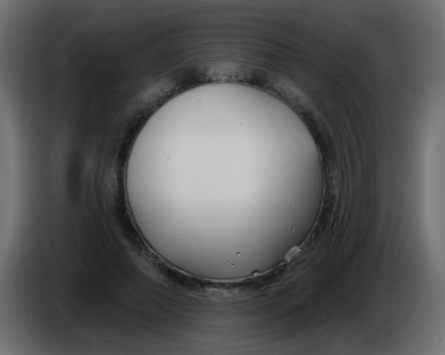 X0000086070690200704132041