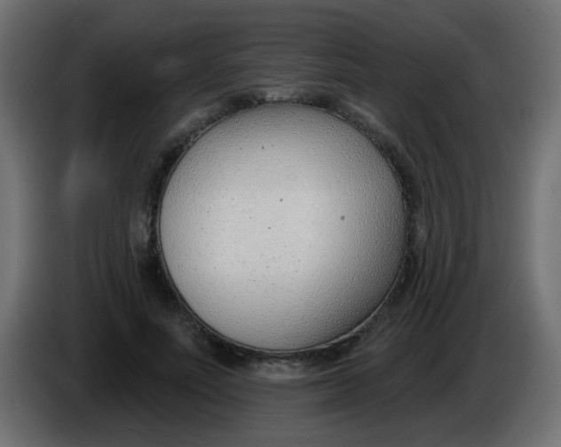 X0000086070691200704132041