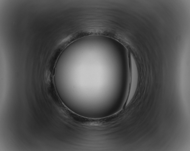 X0000086070692200704132041