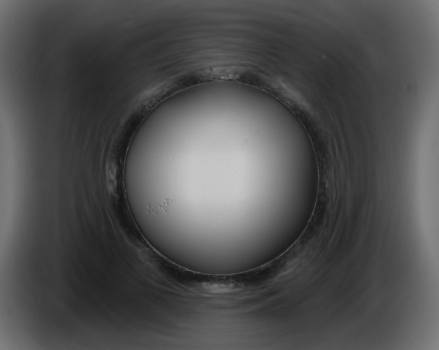 X0000086070693200704132041