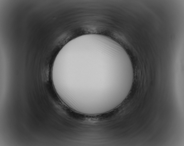 X0000086070694200704132041