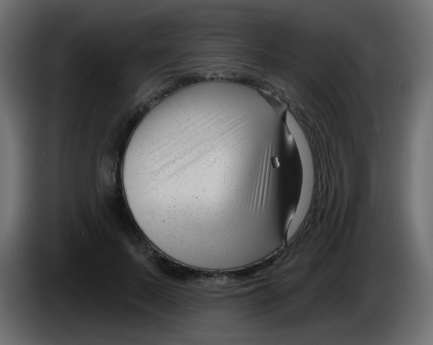 X0000086070695200704132040