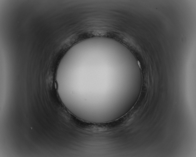 X0000086070697200704132040