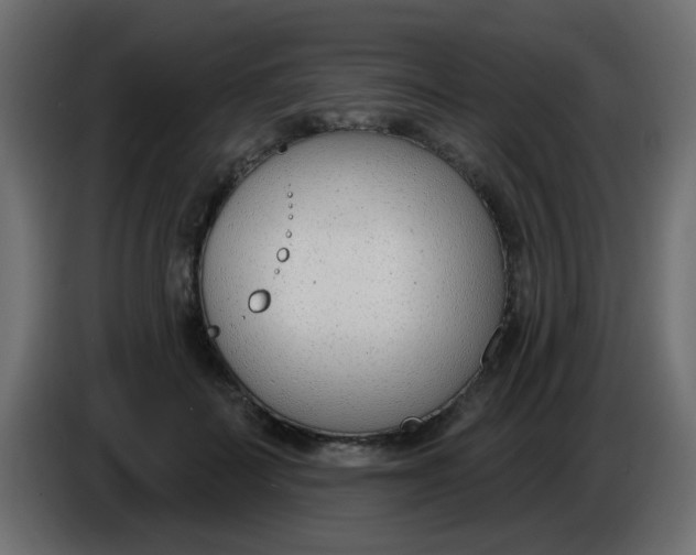 X0000086070699200704132040