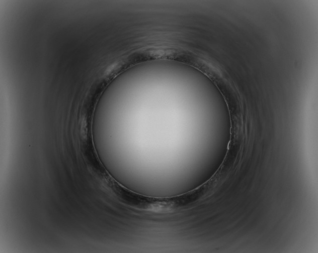 X0000086070700200704132040