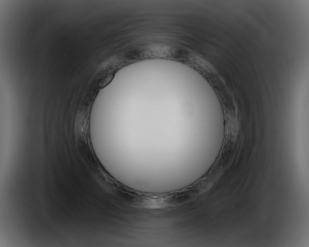 X0000086070701200704132040