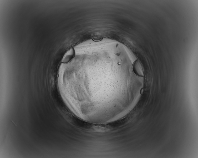 X0000086070703200704132040
