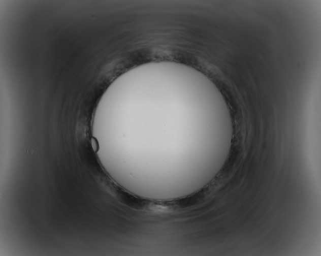 X0000086070706200704132040