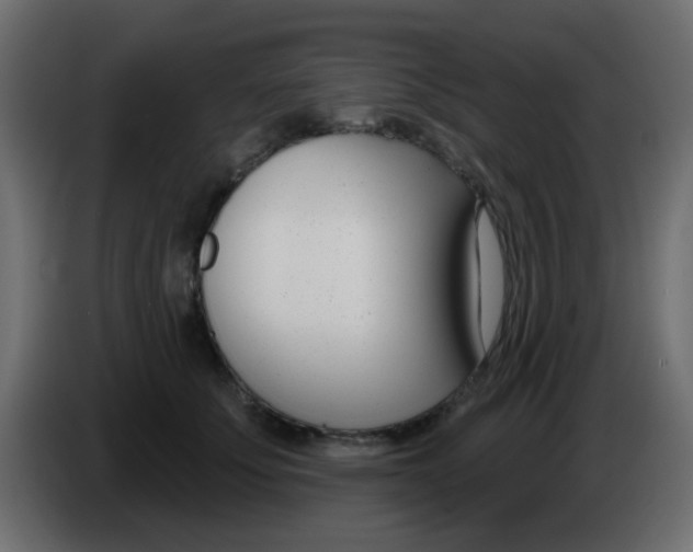 X0000086070707200704132040