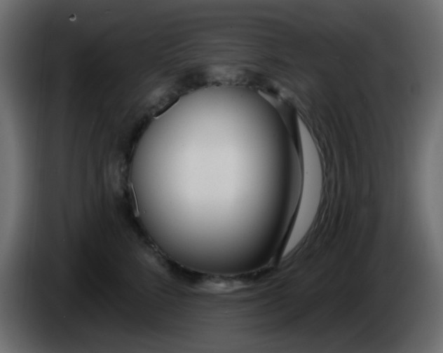 X0000086070712200704132040