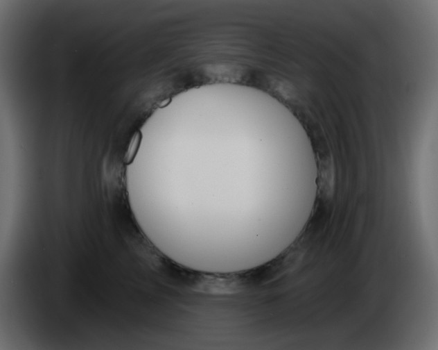 X0000086070713200704132040