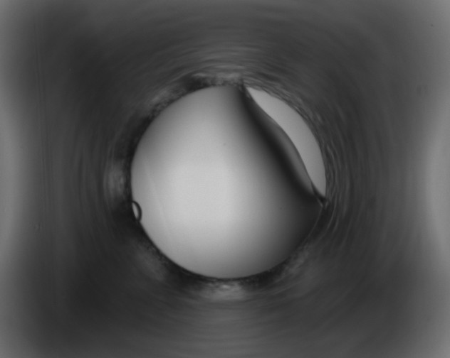 X0000086070715200704132040