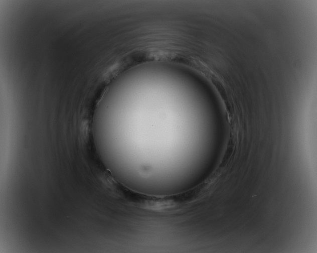 X0000086070716200704132040