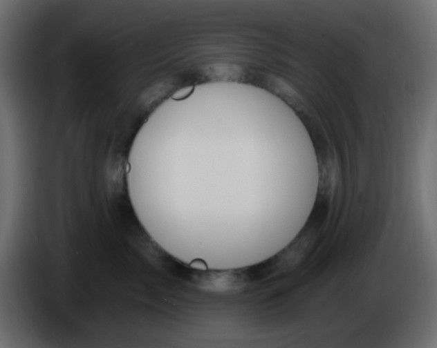 X0000086070717200704132040