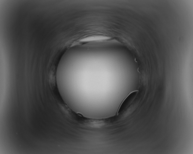 X0000086070719200704132040