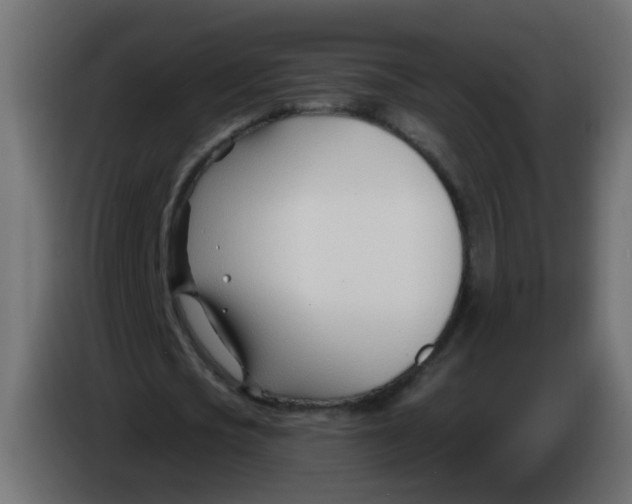 X0000086070721200704132039