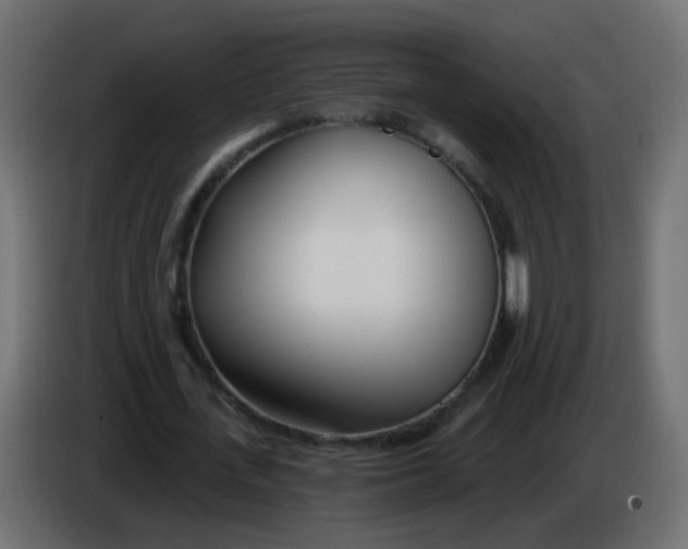 X0000086070723200704132039