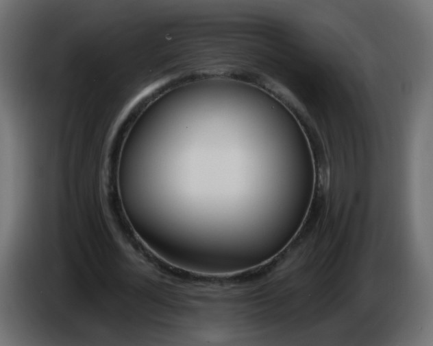 X0000086070724200704132039