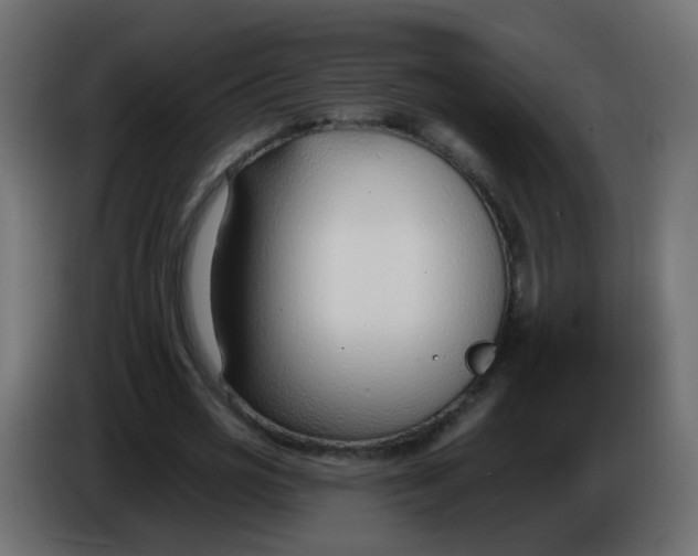 X0000086070725200704132039
