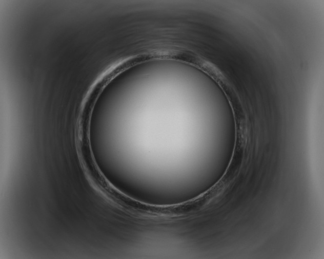 X0000086070726200704132039