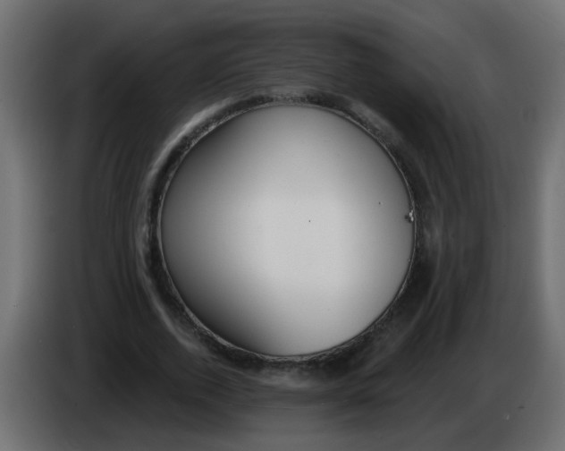 X0000086070728200704132039