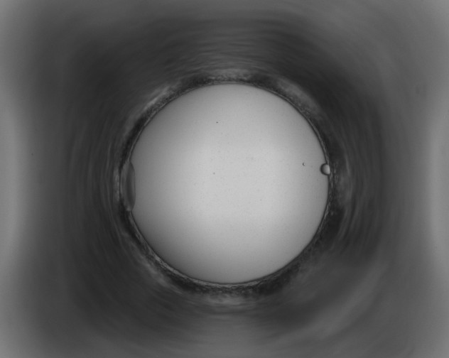 X0000086070729200704132039