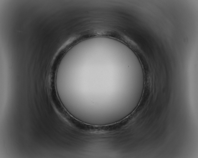 X0000086070730200704132039