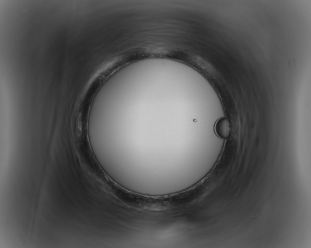 X0000086070731200704132040