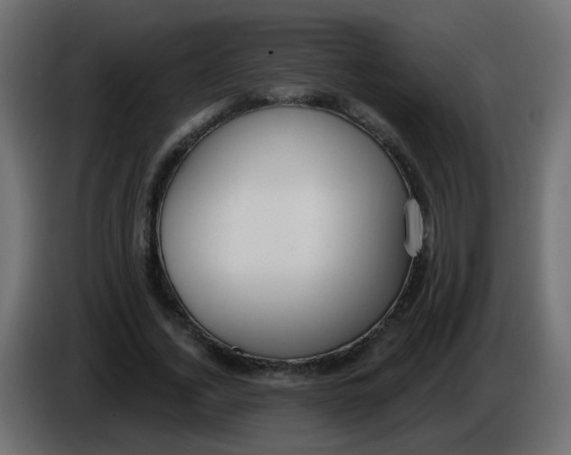X0000086070732200704132040