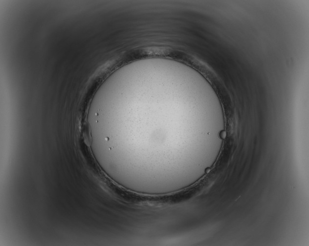 X0000086070733200704132040