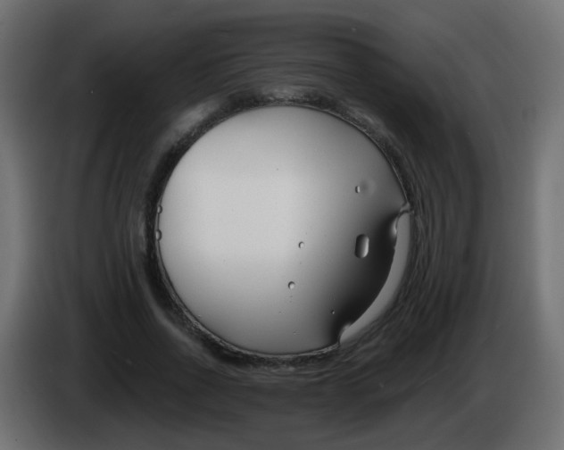 X0000086070734200704132040