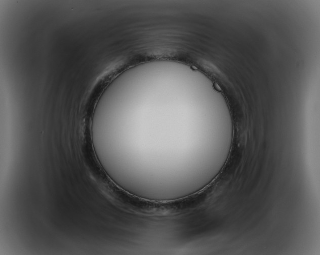 X0000086070735200704132040
