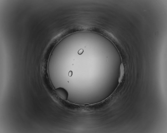 X0000086070736200704132040