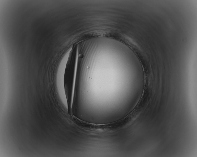X0000086070737200704132040