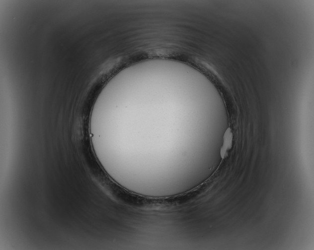 X0000086070738200704132040