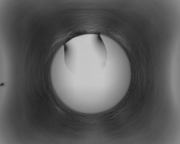 X0000086070740200704132040