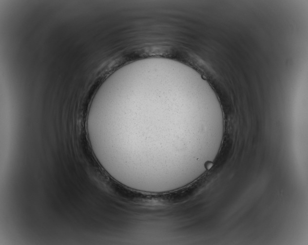 X0000086070741200704132040