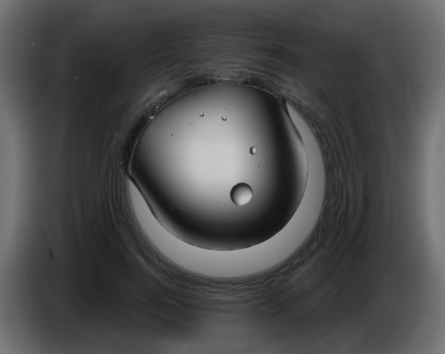 X0000086070744200704132040