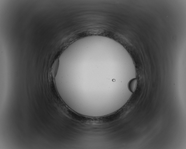 X0000086070745200704132040