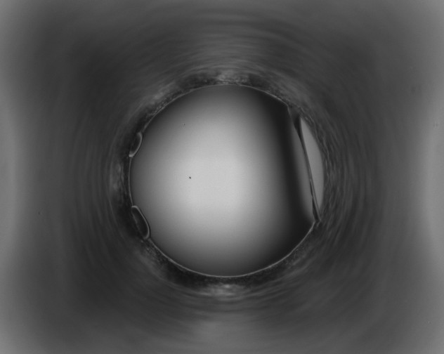 X0000086070748200704132040